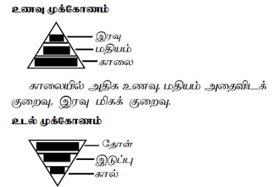 உணவு மற்றும் உடல் முக்கோணங்கள் W1