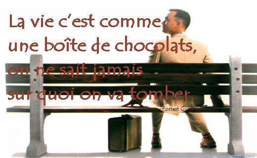 Ciné / télé / DVD / Livres - Page 17 Citation-image-film-forrest-gump