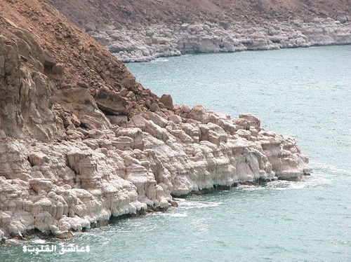  البحر الميت  Dead-sea-06