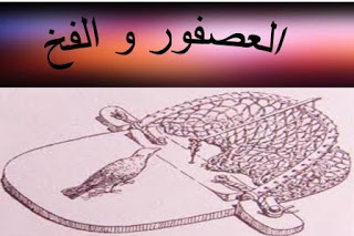 العصفور والفخ Publication1