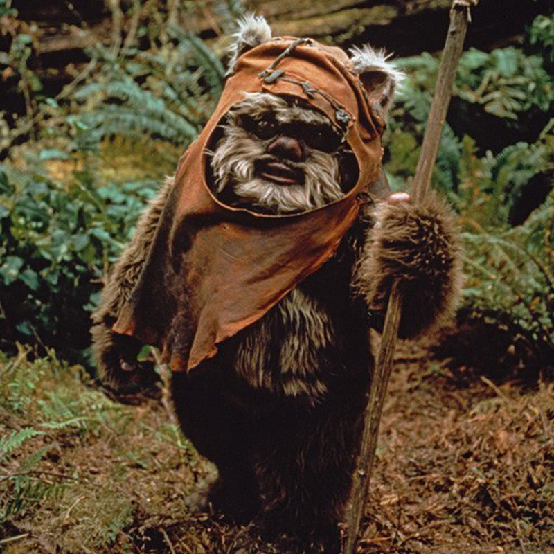 -ACCEPTEE- [Aede 46]Leeta Ewok1.jpg2