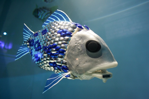 سمكة دراسة الحيارة البحرية - السمك الالية Robot-fish