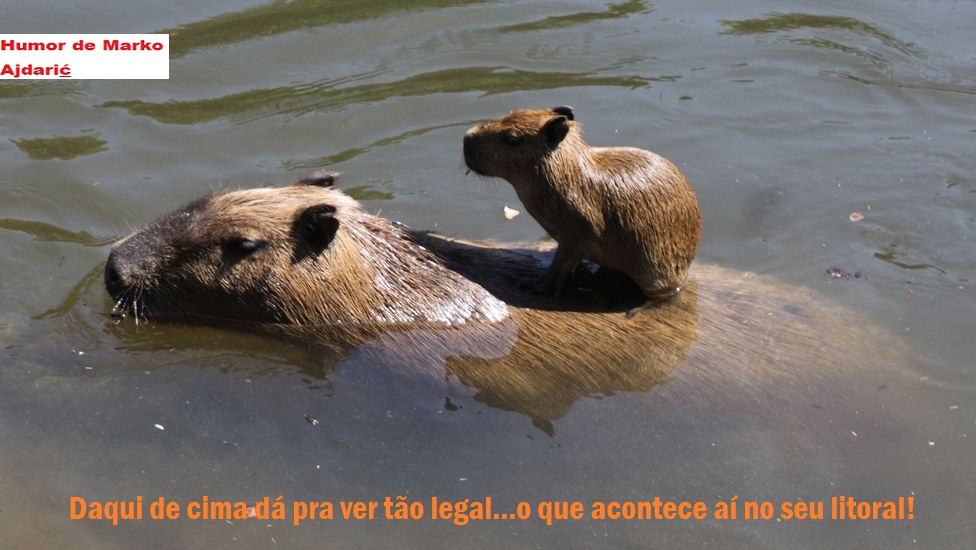 levar com a sopa e a pedra nos cornos .V..parte  - Página 17 Daquidecimadapravertaolegal2