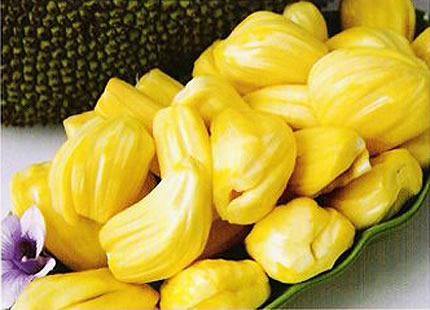 மரியாதை...! Jackfruit3