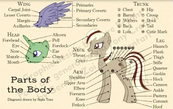 FO:E RP Season 2: "Electric Scootaloo" - Page 5 1