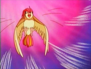 Pokemons de Kanto! Pidgeotto_Whirlwind