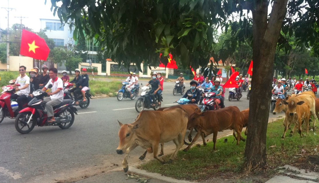 Đình công chống Trung Quốc lan rộng trên quy mô cả nước Tantao