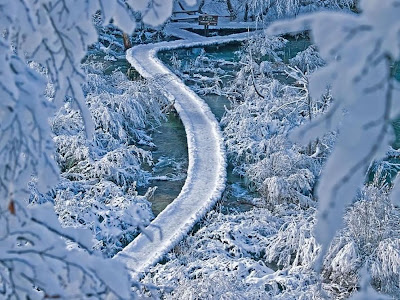 سحر الطبيعة جولة سياحية داخل حديقة بليتفيتش الوطنية في كرواتيا .♥ Plitvice-transformed-by-ice