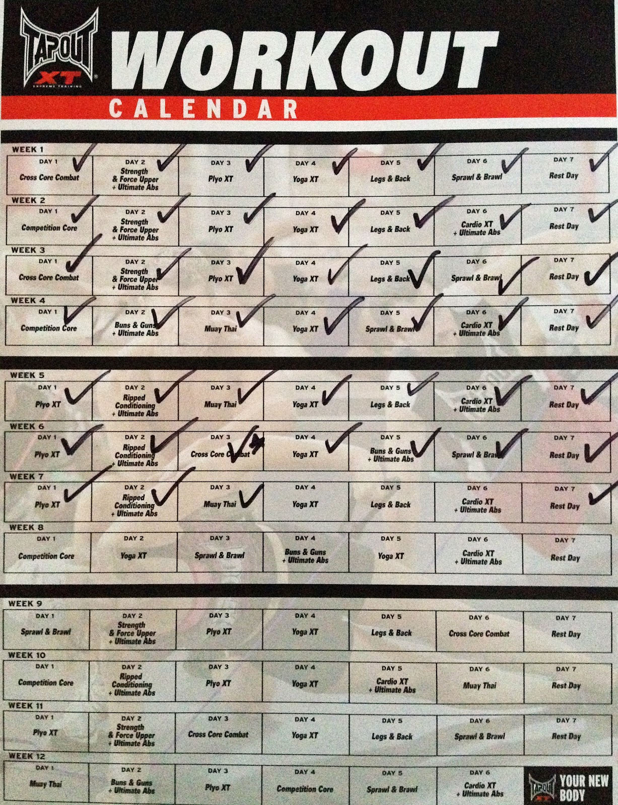 Calendario Tapout XT Calendar