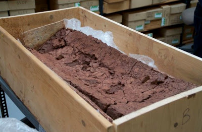 'Roman child's lead coffin' unearthed in field UK_Roman_coffin_01