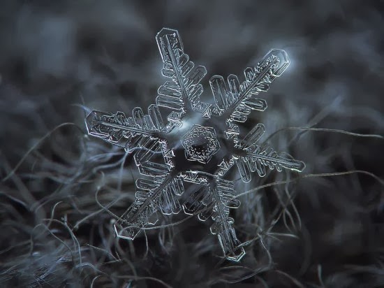 مصور روسي يكشف عن جمال فريد لرقاقات الثلج  Snowflake-closeup3-550x412