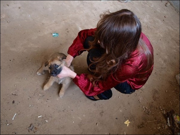 [OFF-Topic] Garota mata um cãozinho para sessão fotográfica Maldade1