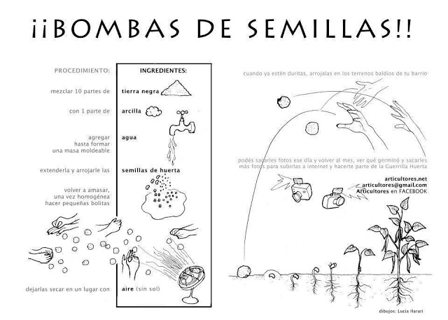 Agricultura natural Método Fukuoka y las "bombas de semillas" 385524_344875788923242_1063754997_n