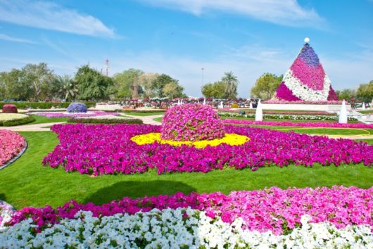 جنة الصحراء ... حديقة زهور في دبي Hanging_flowers_records_16