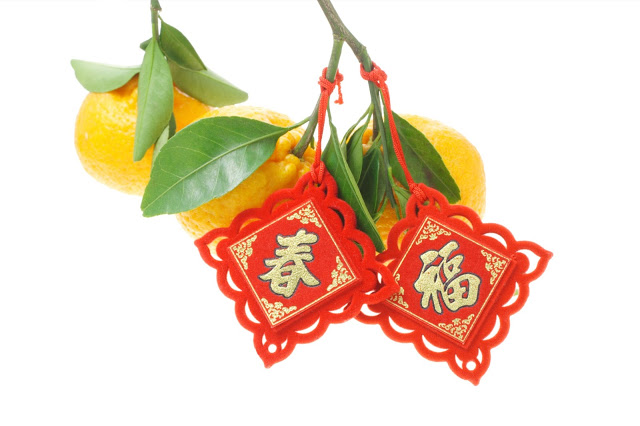 Happy Lunar New Year Tangerine