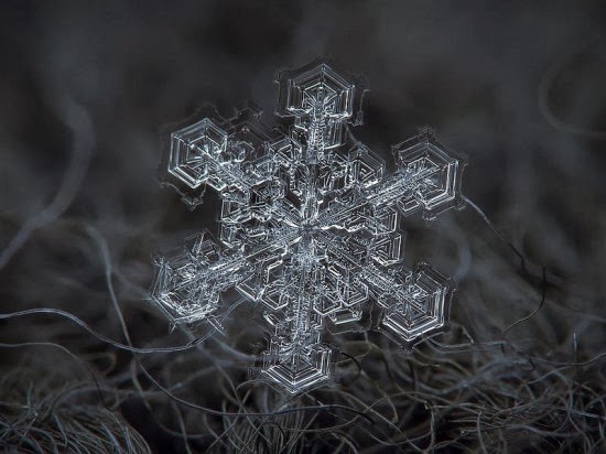 مصور روسي يكشف عن جمال فريد لرقاقات الثلج  Snowflake-closeup5-550x412