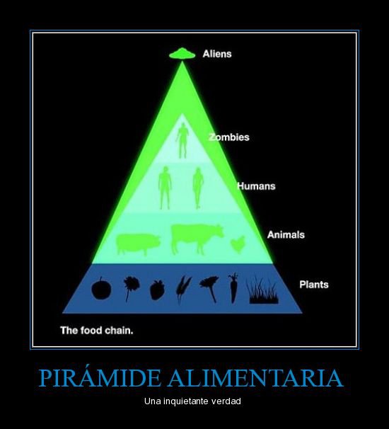 Humor gráfico Piramide