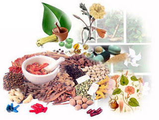 الأعشاب و النباتات كنز لا يفنى Herbal_1