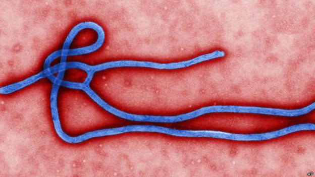 ¿Es el nuevo brote de ébola una plaga apocalíptica?#Seguimiento Ebola. - Página 10 140805165526_ebola_virus_624x351_ap