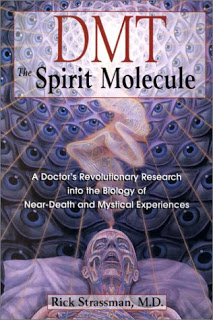 DMT: la molecola dello spirito? Dmt_spirit_molecule_0