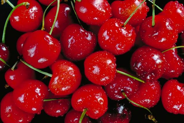   صور فواكة جميلة  Fruits 05Cherries