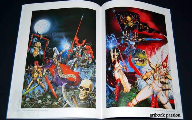 Artbook review : The Face of Battle DSC_0030