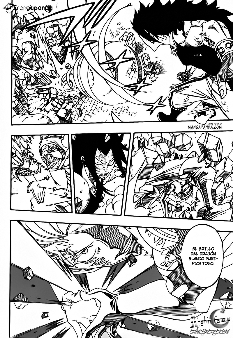 Fairy Tail Capitulo 295 15