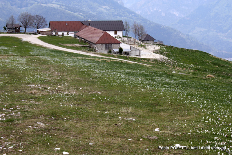 Concurso Giro d'Italia PCM Spain 2014  IMG_9025