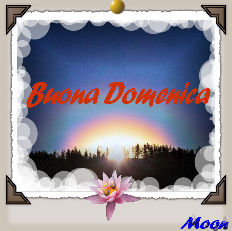 BUONGIORNO FORUM!!!!  Saluti lampo - Pagina 30 Buonadomenica