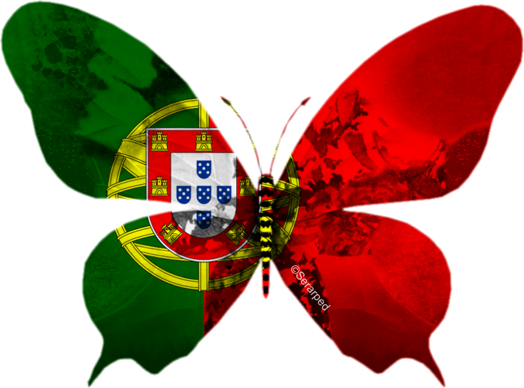 Emi ou Imi serve-se com patriotismo  PORTUGAL