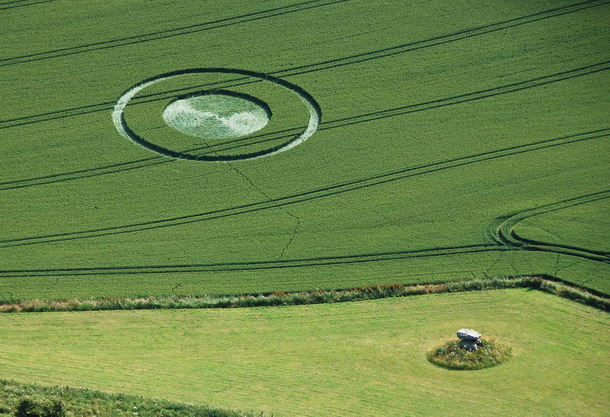 Crop Circle  - Página 33 Croo7