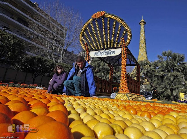 مجسمات مصنوعة من الحمضيات (الليمون والبرتقال) France-lemon-fest-photos-12