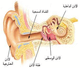 الصوت العالى .. سموم من نوع اخر  001