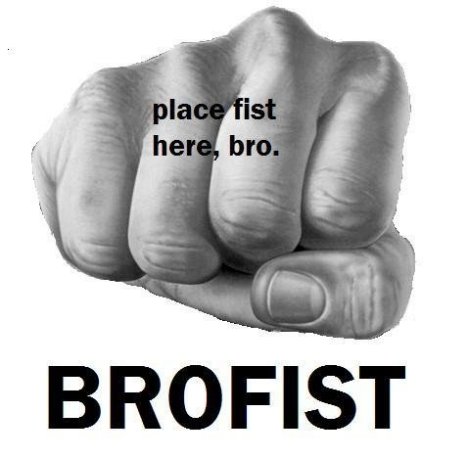 The Atheist Thread - Page 3 Internet-bro-fist