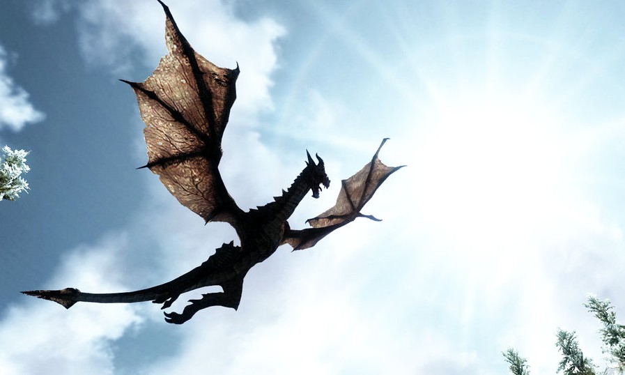 [BST] Dragões Dragon_flight_by_z_zombiecat-d4vfzfo