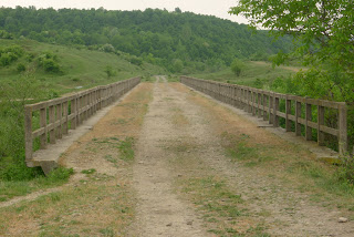 Excursie Ramnicu Valcea - Blidari (pe calea ferata Valcea - Valcele) - Pagina 3 P1120931