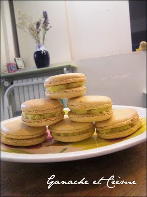 Macarons citron vert et gingembre Macarons6