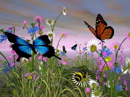 El vuelo de las flores Jardin-de-Mariposas_800-500x375