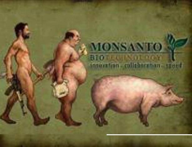 Kompania Monsanto kontrollon popullaten boterore nepermjet produkteve OMGJ Monsanto