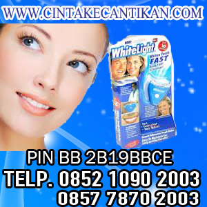 WHITELIGHT CS 081291625333 PEMUTIH GIGI ORIGINAL - HERBAL  WHITELIGHT