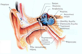 ΤΟ ΝΕΡΟ Ear