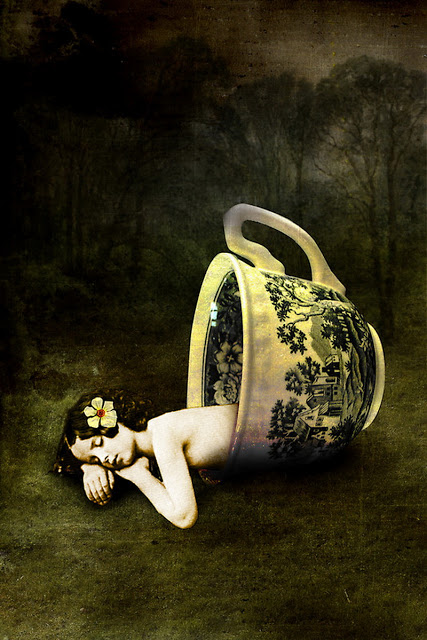 Bienvenidos al nuevo foro de apoyo a Noe #73 / 27.03.14 ~ 29.03.14 - Página 40 The-Teacup-by-Catrin-Welz-Stein