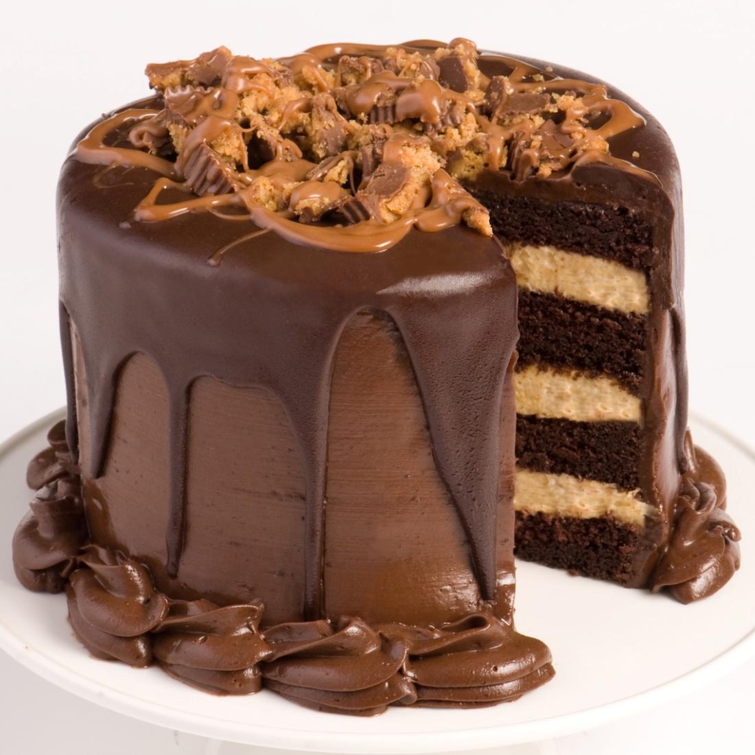 واحد الى خمسة واختار عضو يقشر البصل - صفحة 5 Chocolate-Layer-Cake-with-Peanut-Butter-Mousse-6inch_1