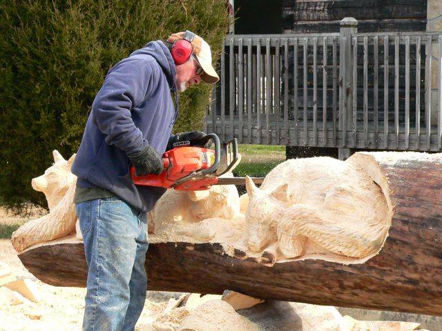 Animals Carved In Tree Trunk فنان نيوزلندي يبدع في النحت على  جذوع الأشجار Image004