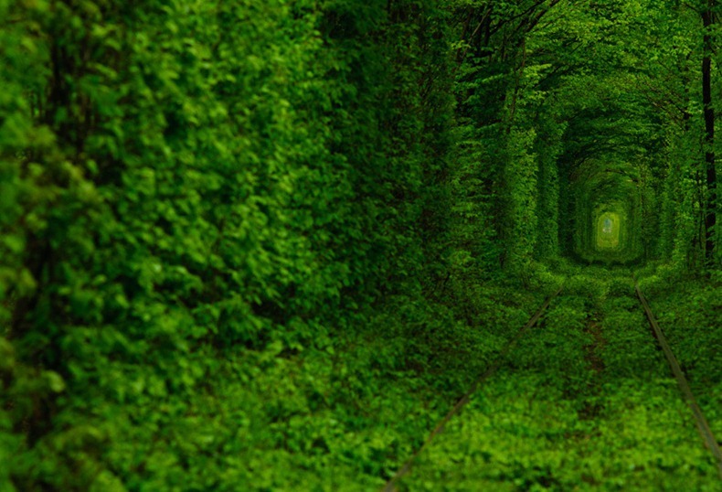 .::Lugares rodeados de selva tropical::. Tunnel-of-love-3%5B2%5D