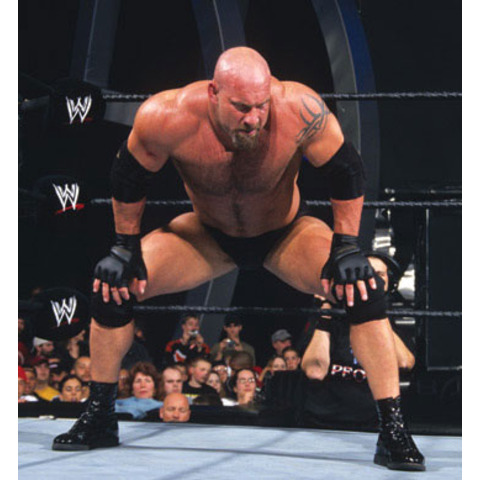 Votaciones: Slammy a la Mayor Sorpresa del Año. Goldberg_480x480