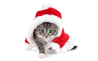 Humeur du jour Santa_cat-wide