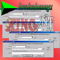 حل مشكلة ظهور نافذة تحميل ملفات متكررة تلقائية فى وقت واحدالخاص ببرنامج داونلود مانجر  Downloadmanager