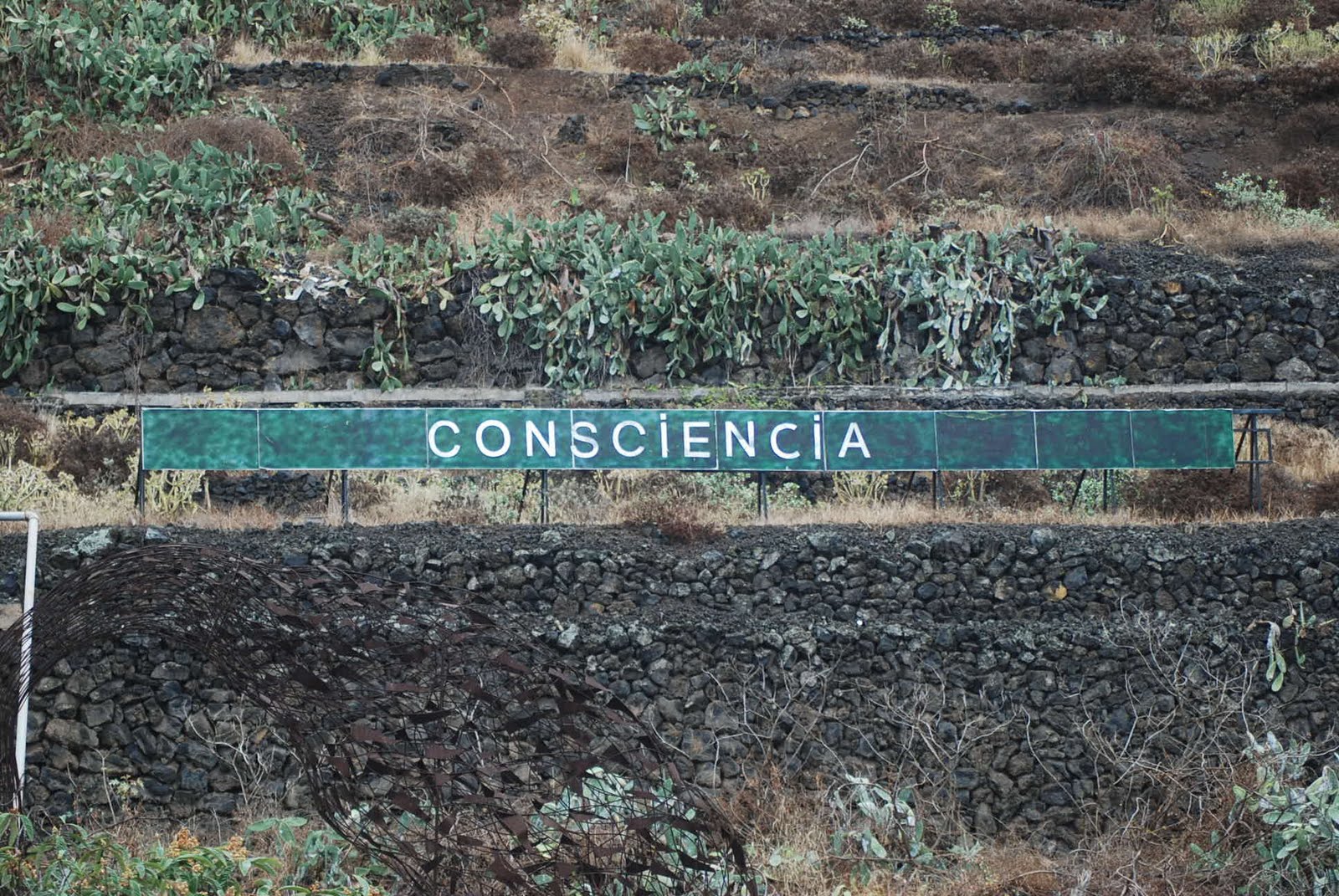 LA FRASE DE LA AUTOPISTA... Consciencia