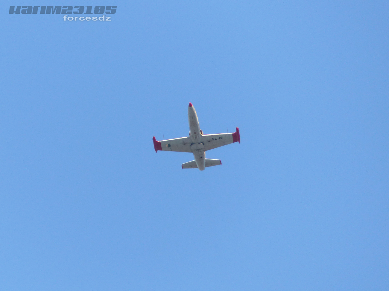 صور القوات الجوية الجزائرية [ Aero L-39ZA/C / Albatros ]  3